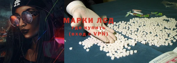 ПСИЛОЦИБИНОВЫЕ ГРИБЫ Строитель