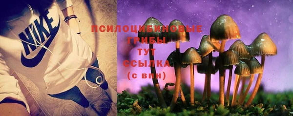 мдпв Сясьстрой