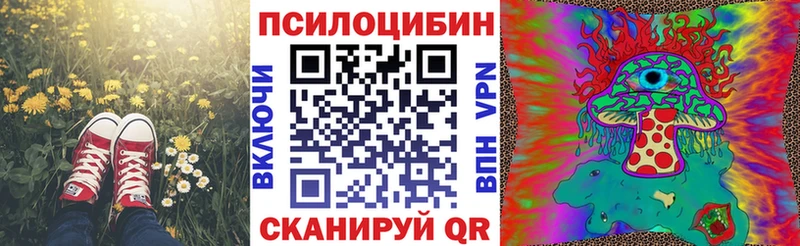 Псилоцибиновые грибы GOLDEN TEACHER  Урюпинск 