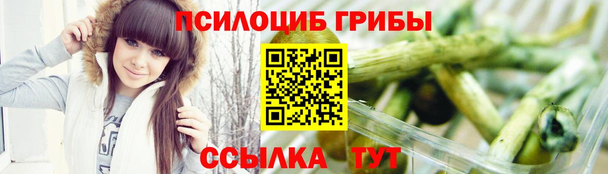 Псилоцибиновые грибы Cubensis Урюпинск